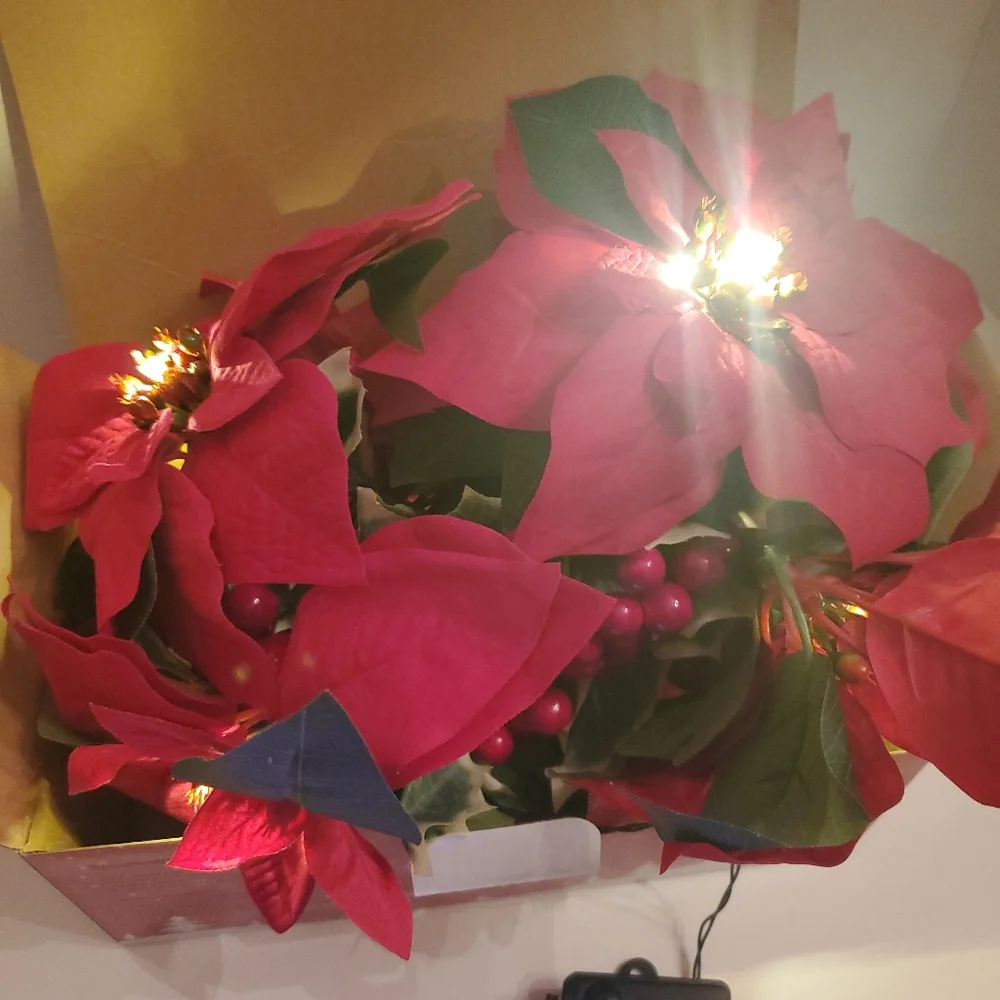 New LED Christmas Poinsettia Flower Decor Garland String of Lights